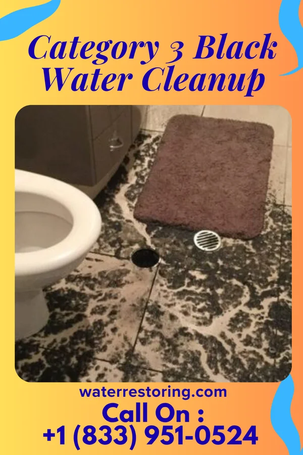 Category 3 Black Water Cleanup in The Highlands, KS