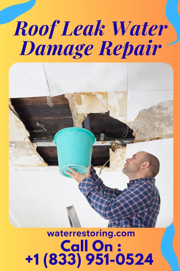 Roof Leak Water Damage Repair in The Highlands, KS